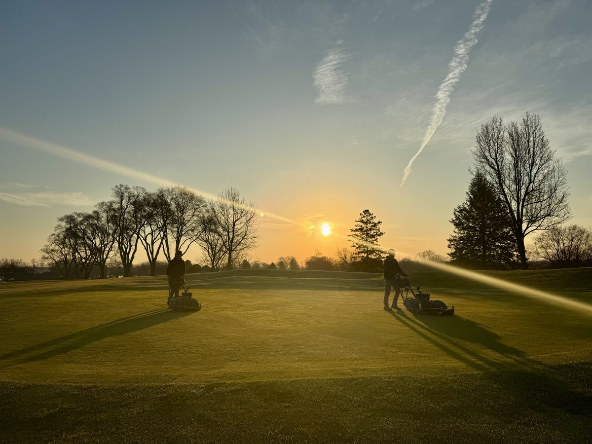 Jesse Shaver tweet media