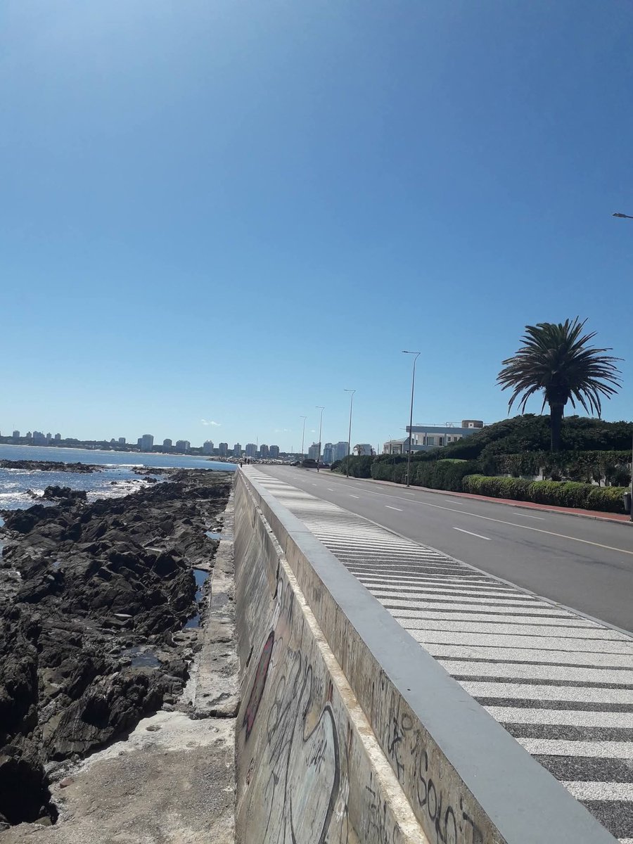 Rayito Suarez tweet media