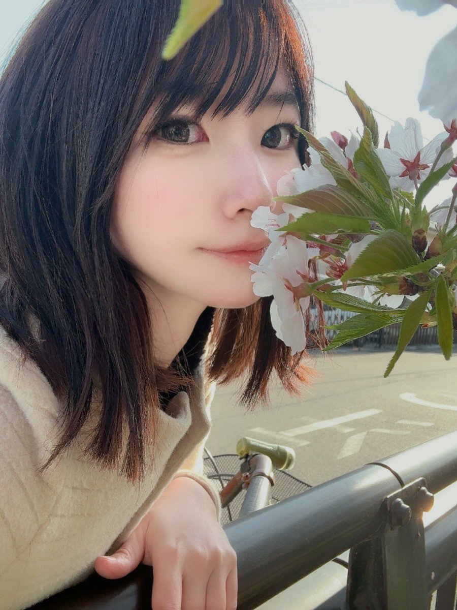aoimi_0630's tweet photo. おはよん♥️

起きたらリポストといいねで知らせてね🫧

金曜日🟡🟡✨✨

朝通勤中、桜並木の桜が咲き始めてるのに気付いて朝からほわわ〜って幸せな気分🌸

明日は15-23でフュージョンさん🥂✨
協会カレンダー持っていくよー！
たくさんの方に来てほしいです🫶

今日も1日頑張ろう(｀･ω･´)✊ https://t.co/2iEcgia90I