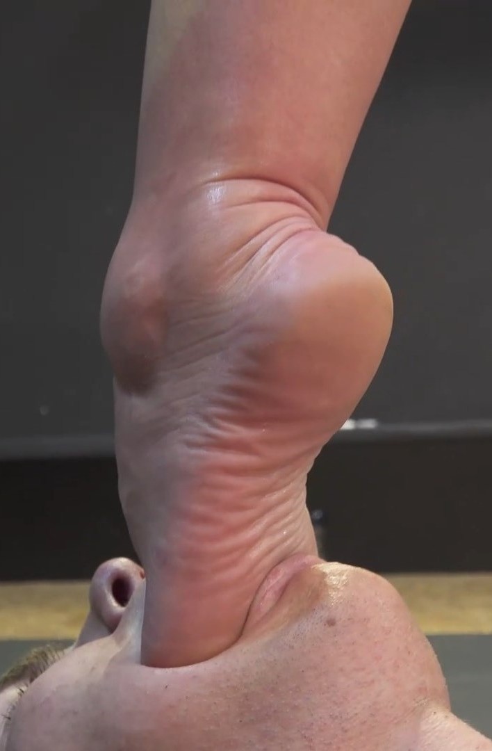 Fanatic Lamepies tweet media