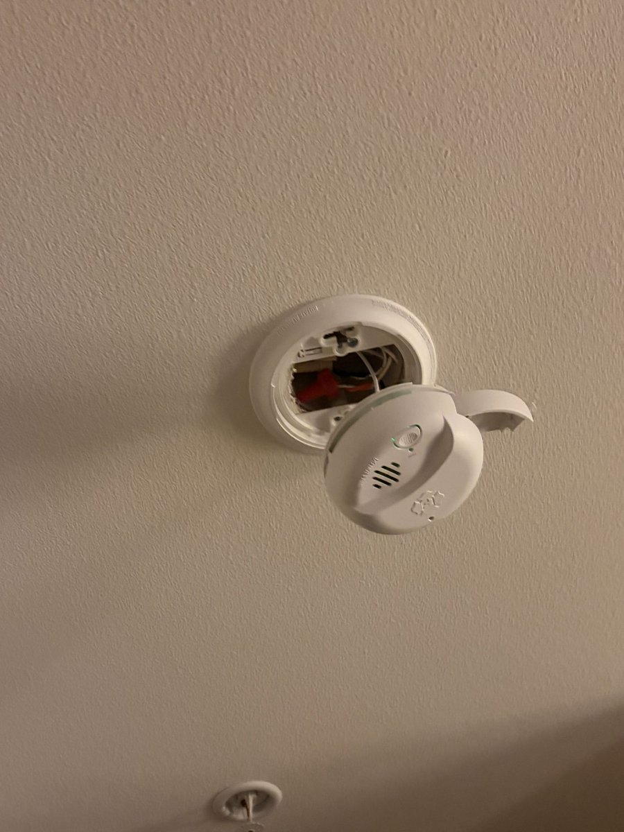 Eunoe Atoms tweet media