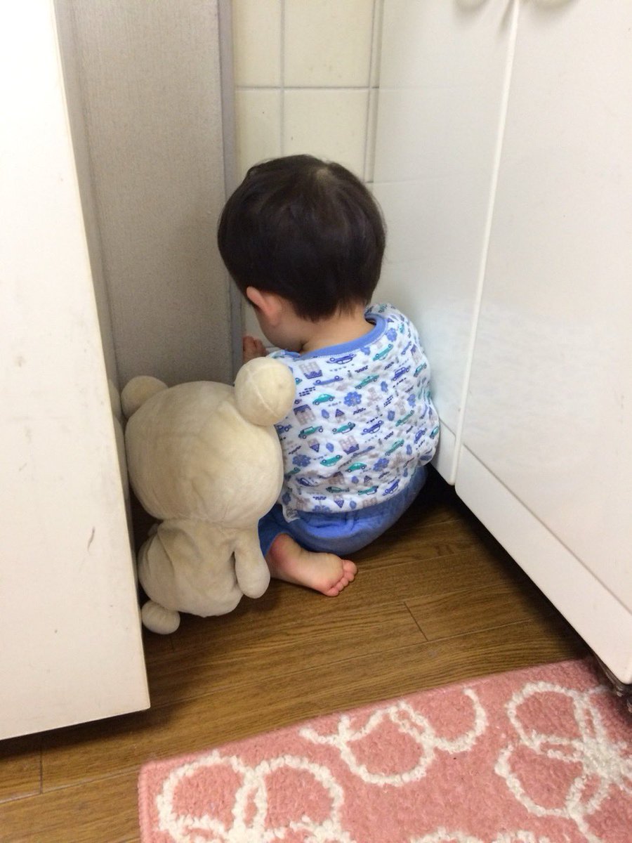 ネットで話題の動画 tweet media