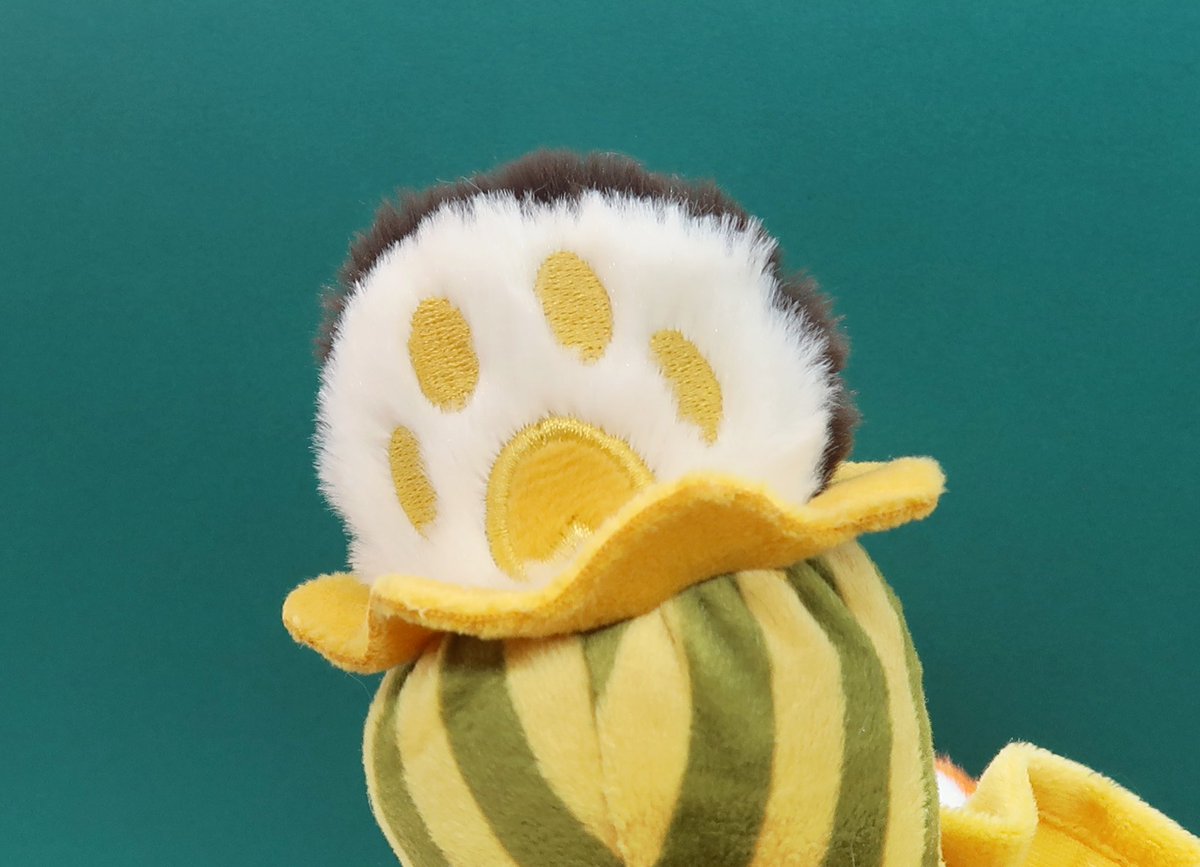 lizschmidt.bsky.social 🦋 ☁️ tweet media