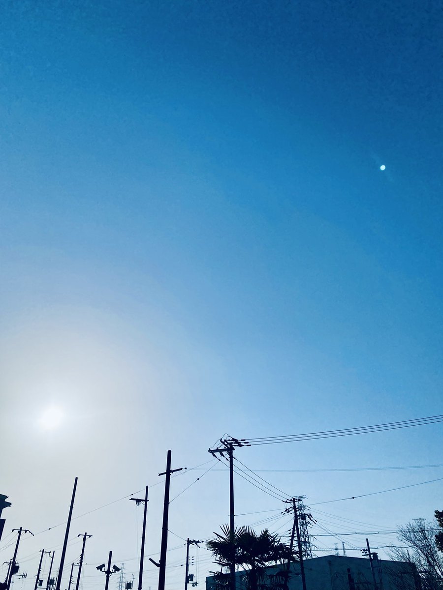 エディ tweet media