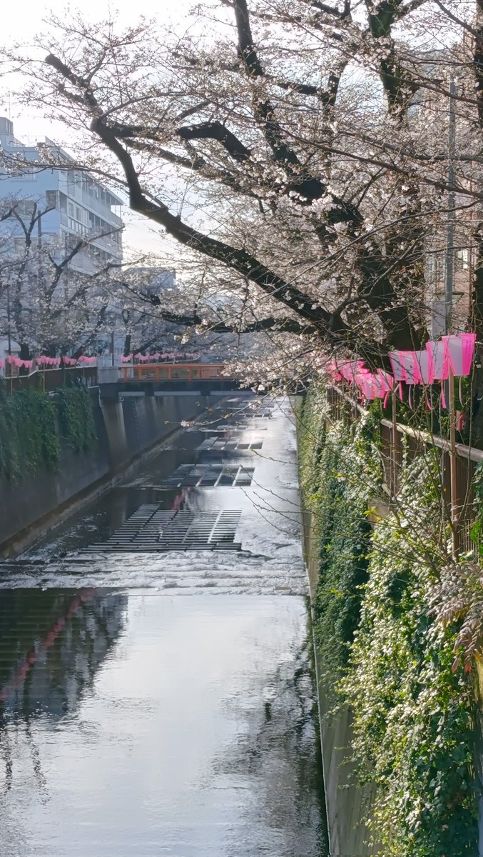 みない🐳＠社会人大学院4年目😭 tweet media