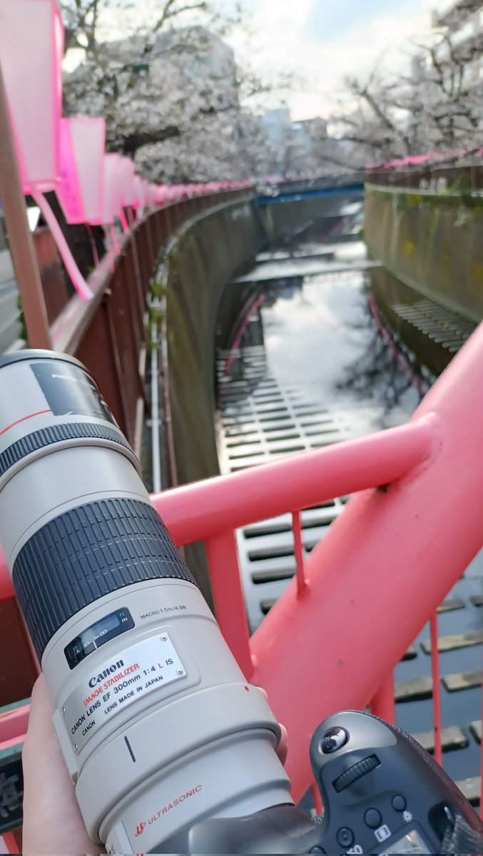 みない🐳＠社会人大学院4年目😭 tweet media