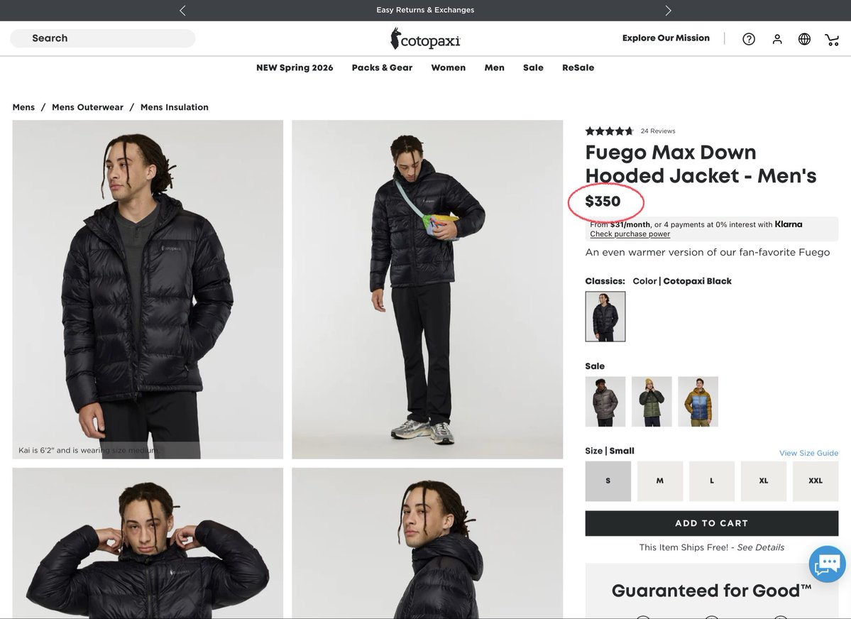 jackiefbr tweet media