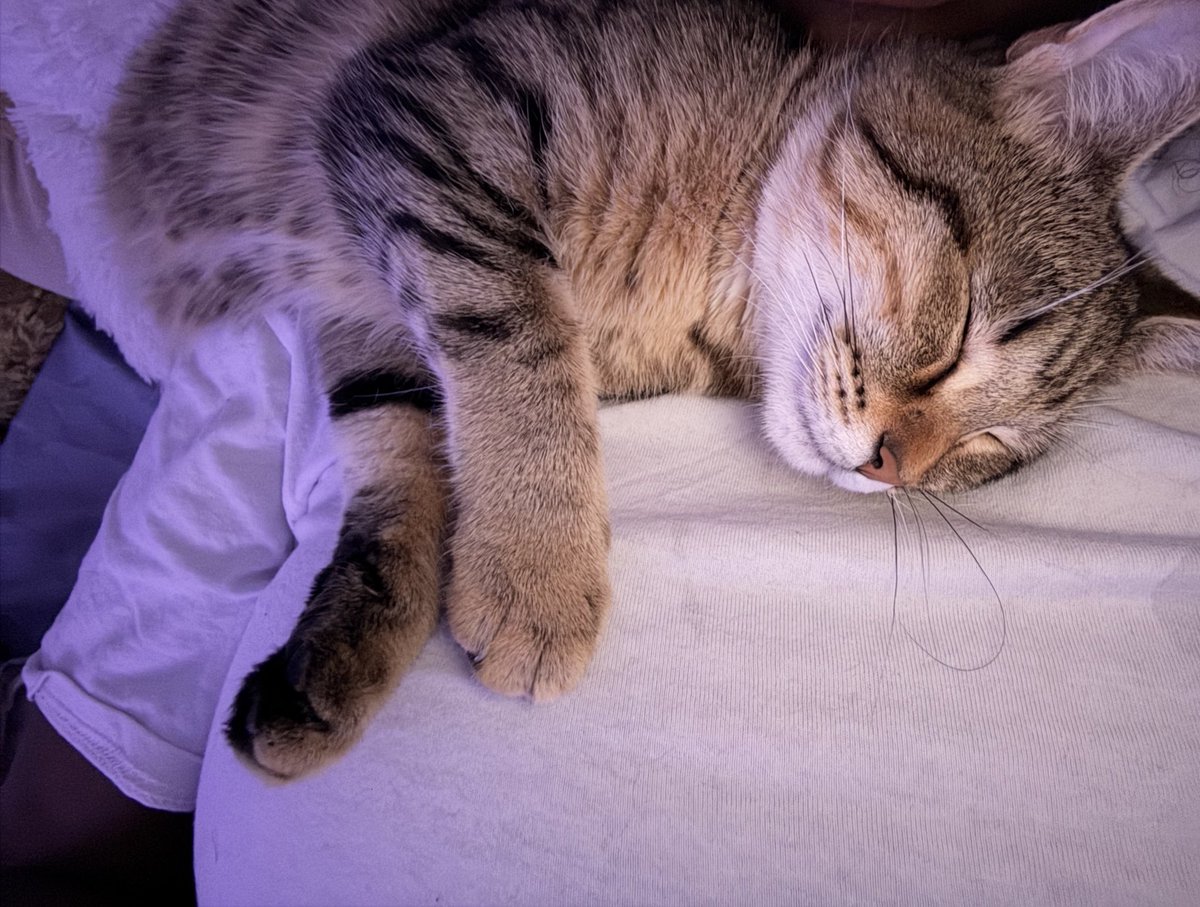 𝙺𝙴𝚈𝙲𝙴 🥡 tweet media