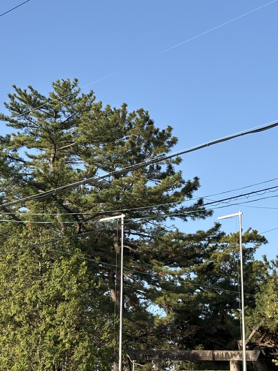 アイナマオパパ@中山木型_3Dプリンタ tweet media