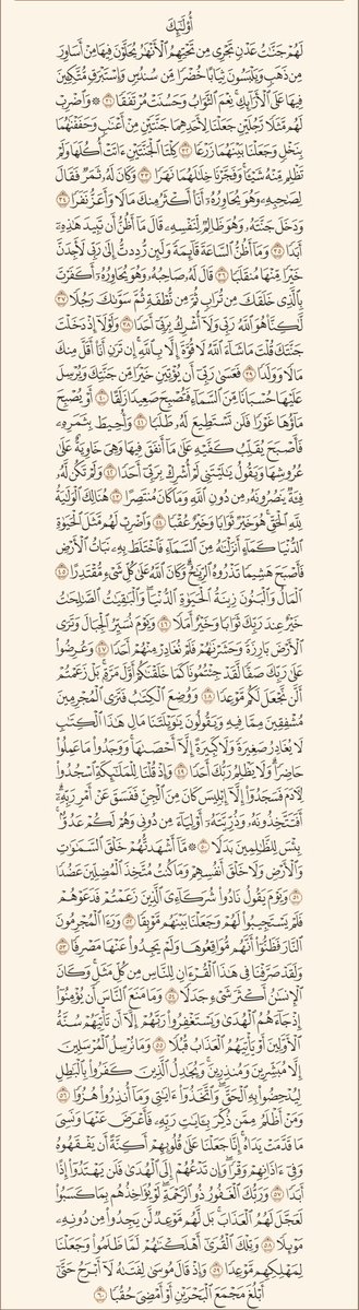 Voices from paradise tweet media