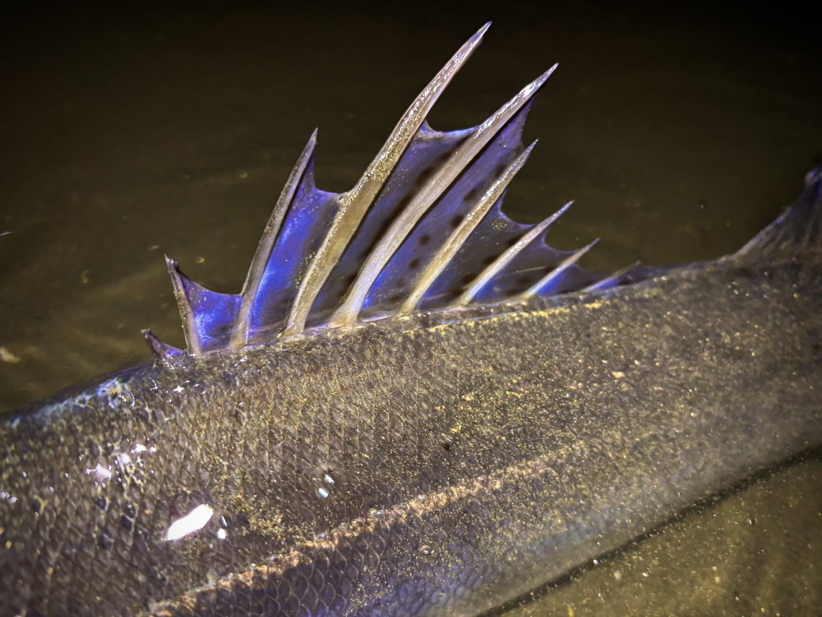 金森翼 tweet media