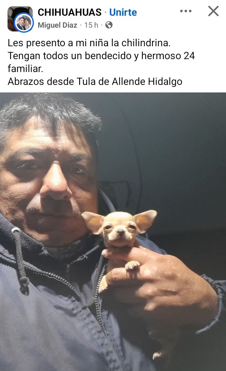 Clov! 🍉 tweet media