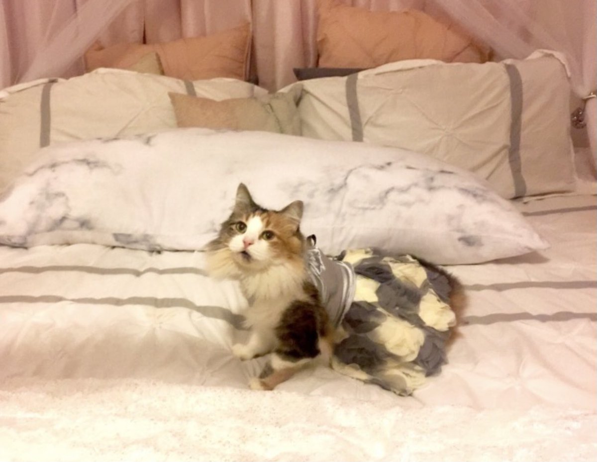 caro 🌺 springtime edition tweet media