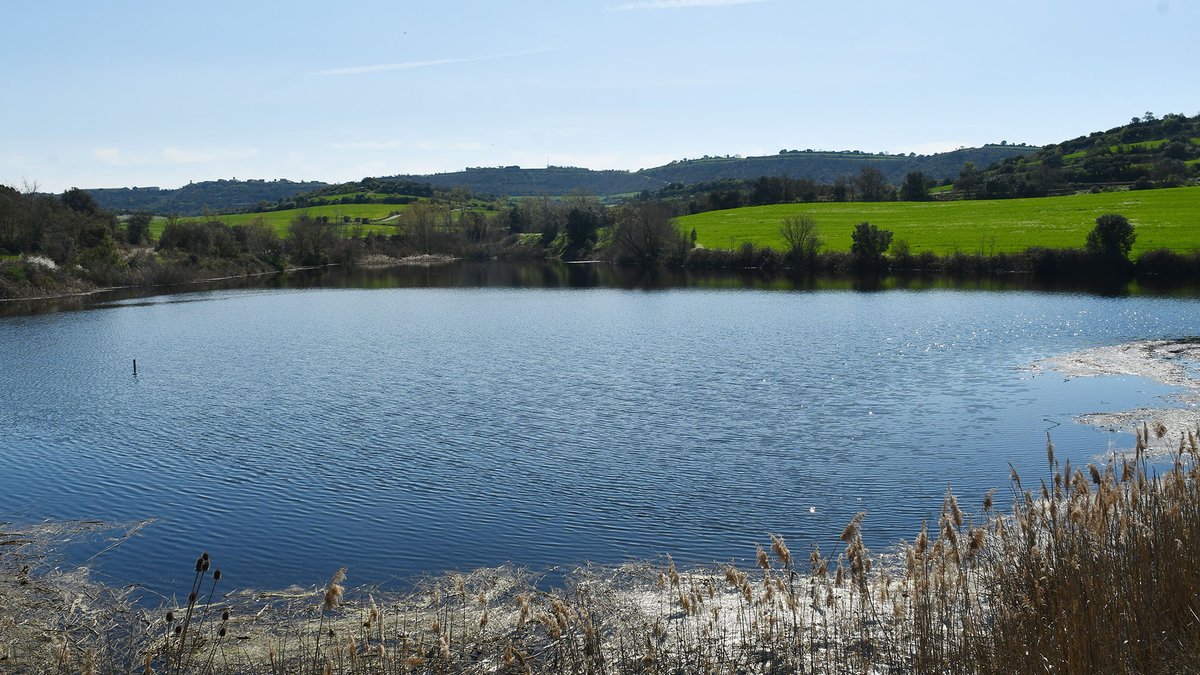 nascudaalasegarra tweet media