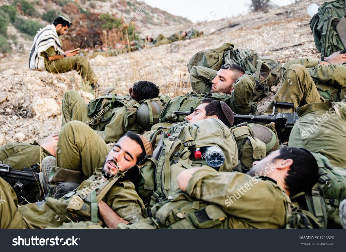 C A N N Y B U S S tweet media