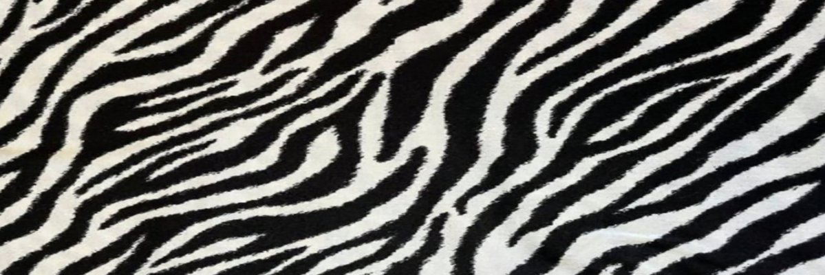 sohee on estrogen ⵣ tweet media