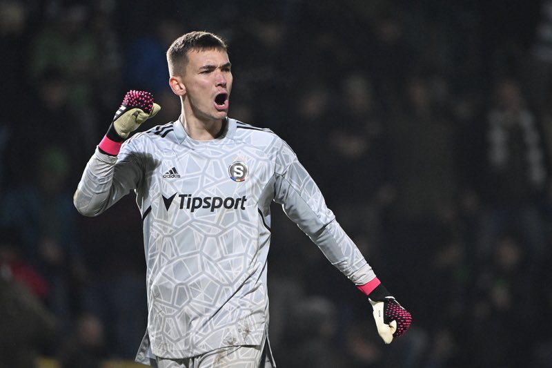 Mateo hpn tweet media