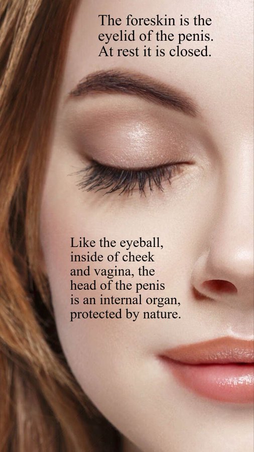 Jᴇʀᴇᴍʏ tweet media