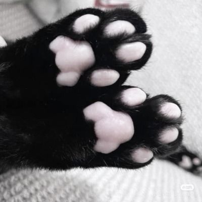 itsybitsy tweet media