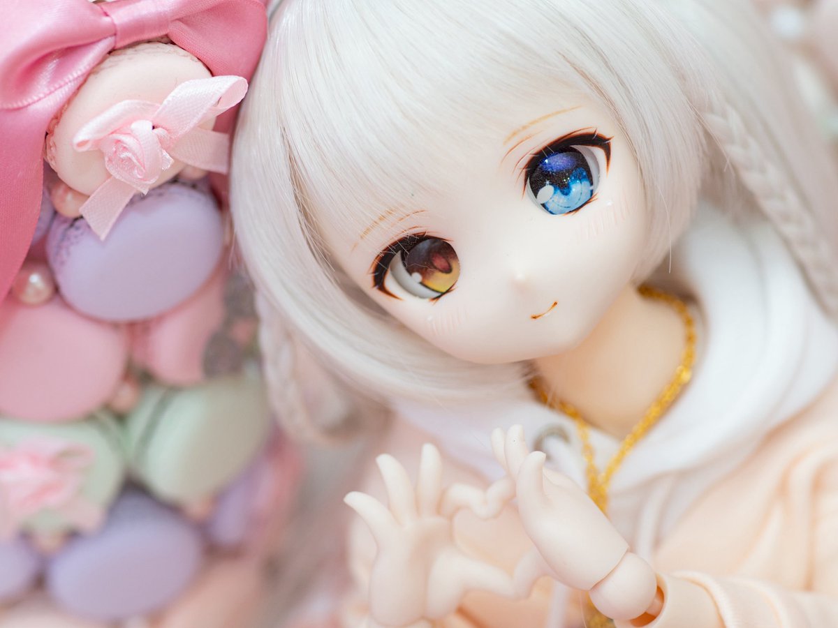 エルフィーネ🐈⸒⸒⸒ アイドール東京ありがとうございました✨ tweet media