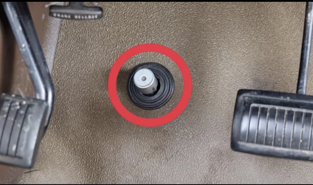 Trumplicans2024.com tweet media