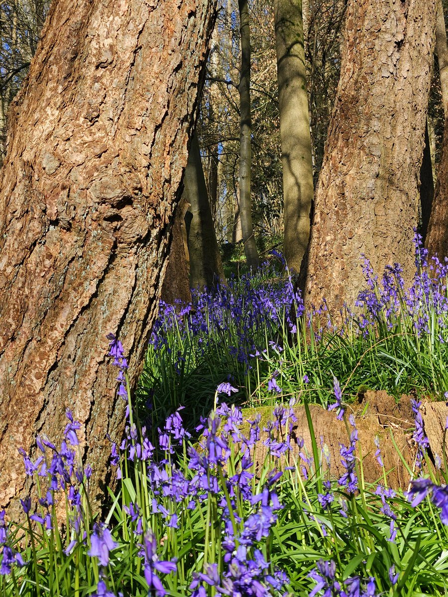 Matthew Williams tweet media