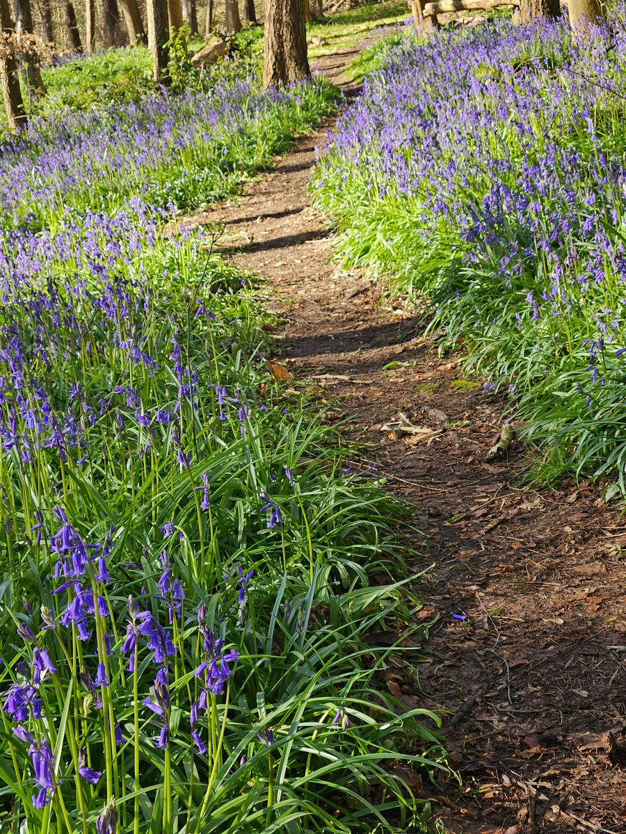 Matthew Williams tweet media