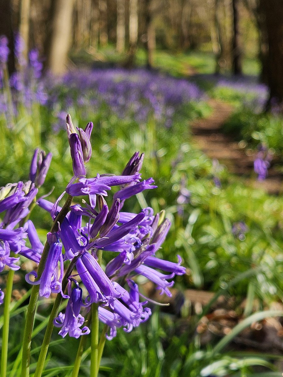 Matthew Williams tweet media