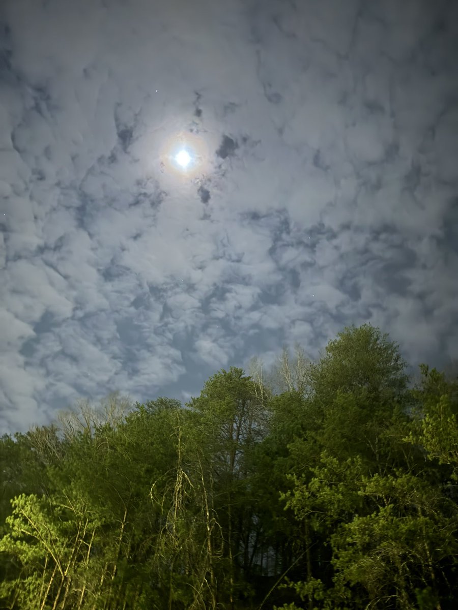 Kevin Hutcherson tweet media