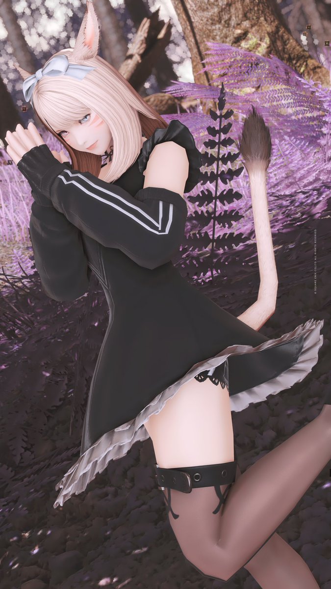 りゅーし🐈‍⬛ tweet media