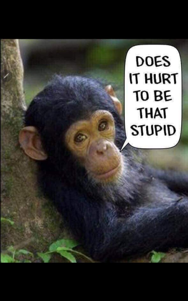 @tedstweets tweet media