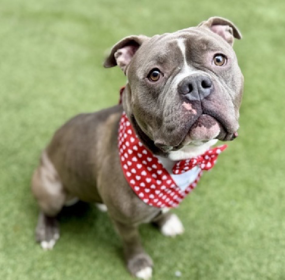 Quinn 💛(G.Quinn Rogers) tweet media