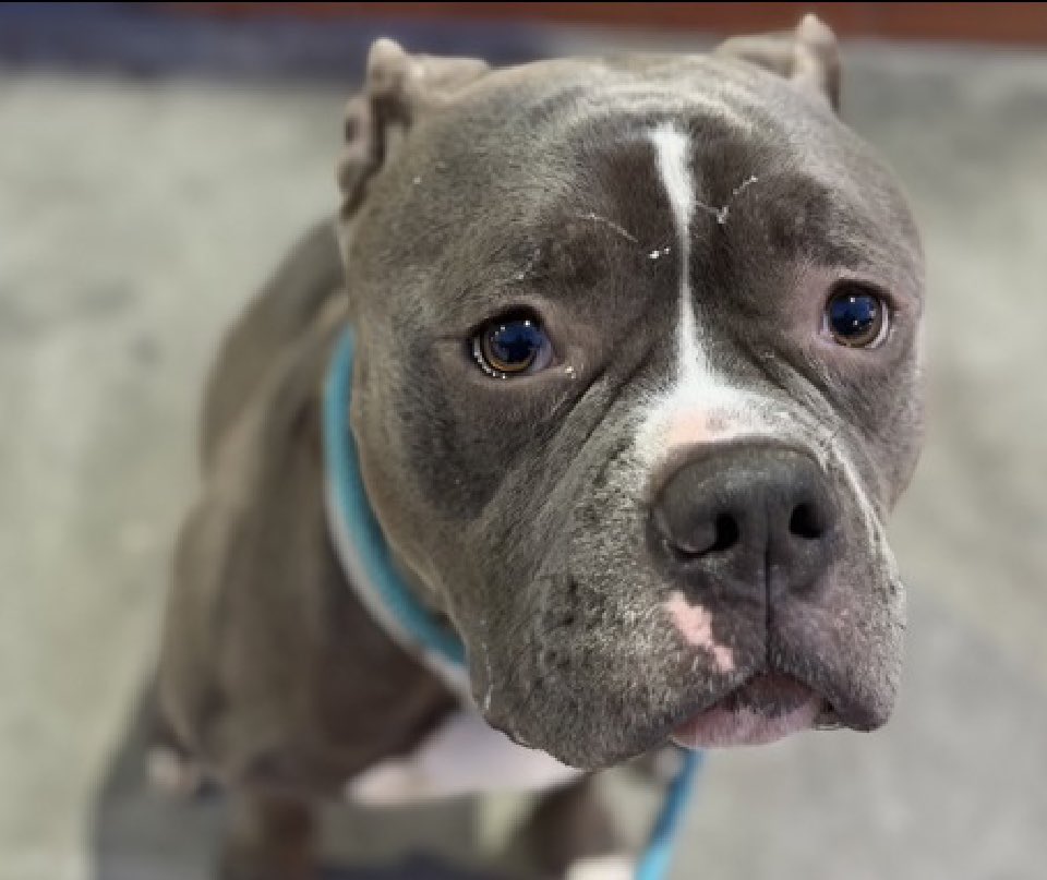 Quinn 💛(G.Quinn Rogers) tweet media