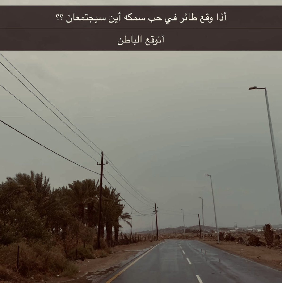 دانيه🇰🇼 tweet media