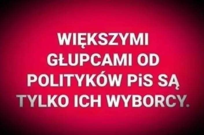 YakoTaki tweet media