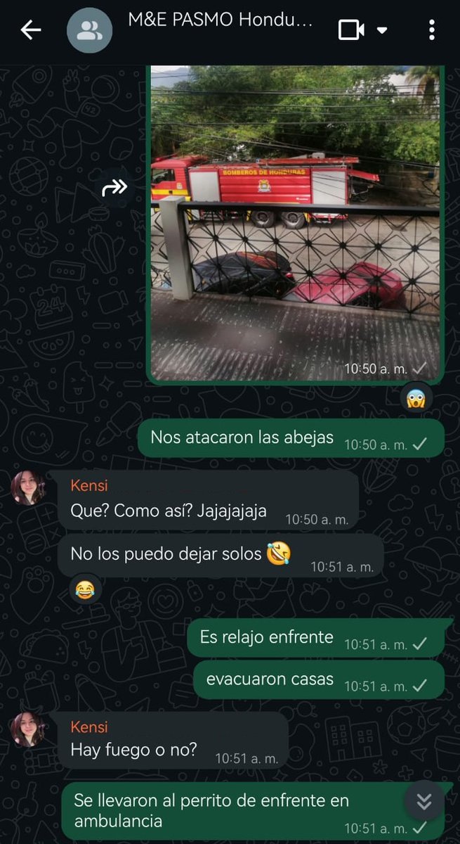 Gorje Calix tweet media