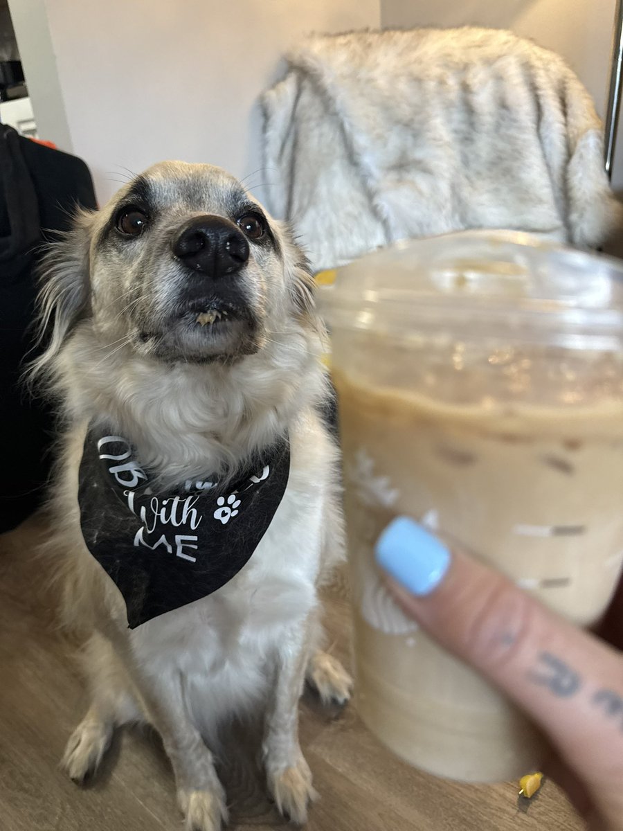 allieerex tweet media