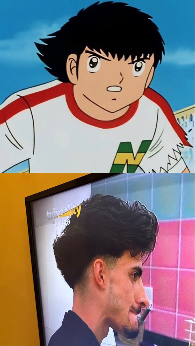 Separados à nascença parte 2 #sstvi