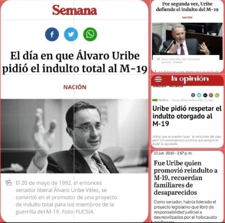 Elsa Cristina Niño N. tweet media