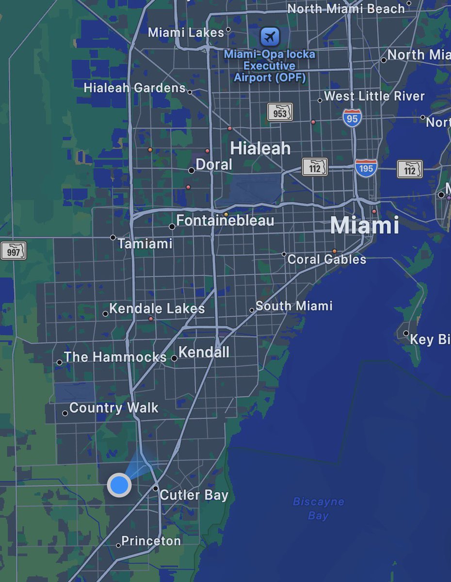 felpeeps tweet media