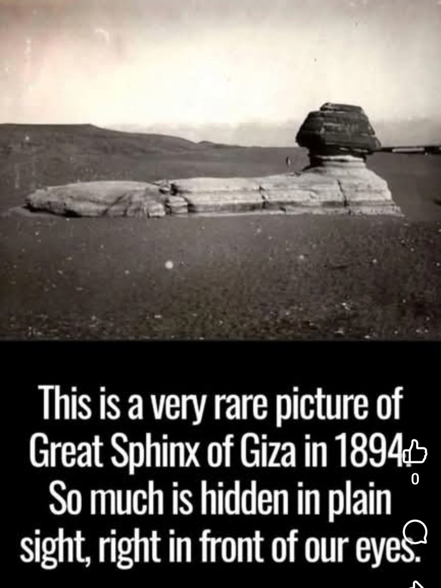 Steven Ratnik tweet media