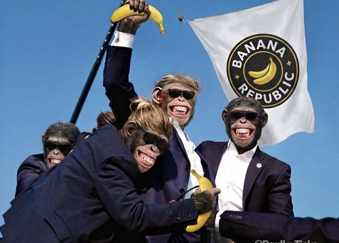 Rob Bailey tweet media