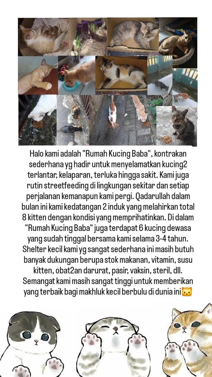 Tanyarlfes tweet media