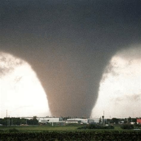 Ursula Haverbeck tweet media