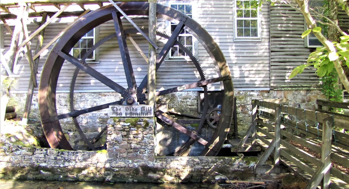 Gypsy Barbie 💎 tweet media