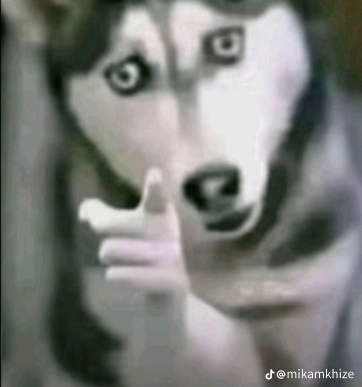 𝐃𝐚𝐫𝐤 𝐂𝐫𝐲𝐩𝐭 tweet media