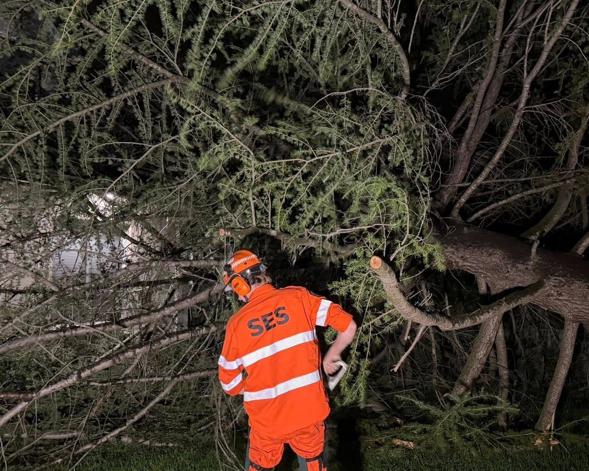 NSW SES tweet media