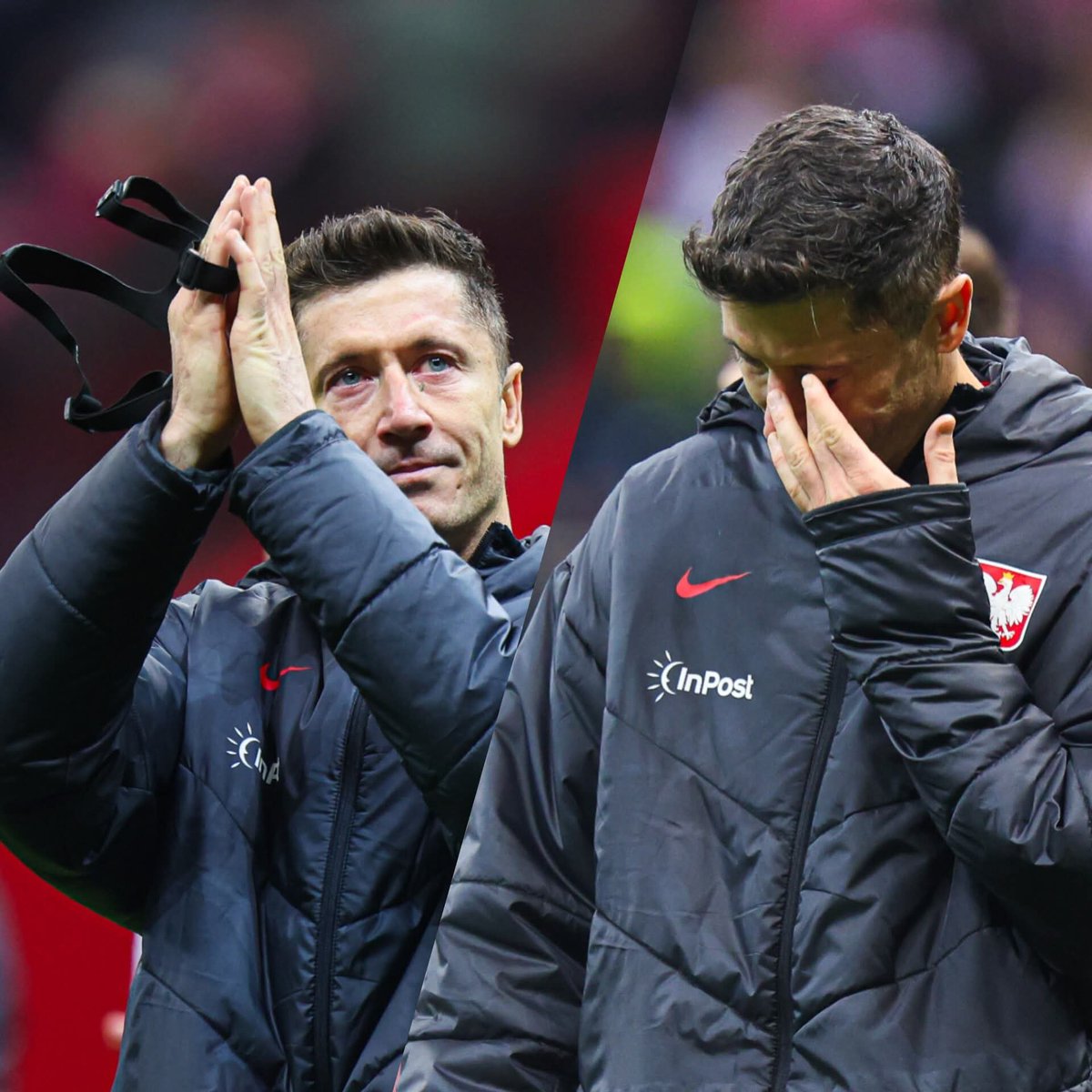 Miguel 🇪🇸 ⭐ tweet media