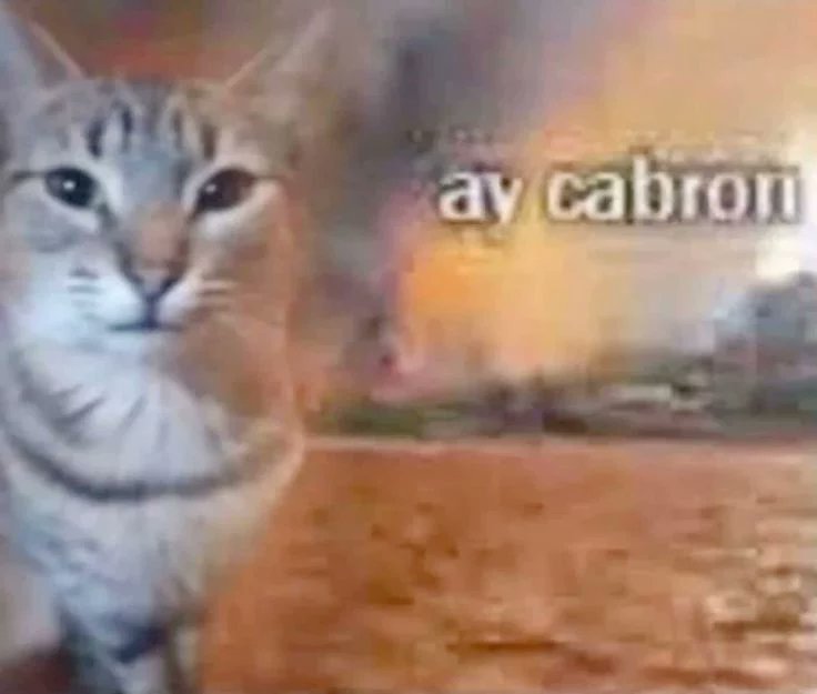 Arayru-Poliom tweet media