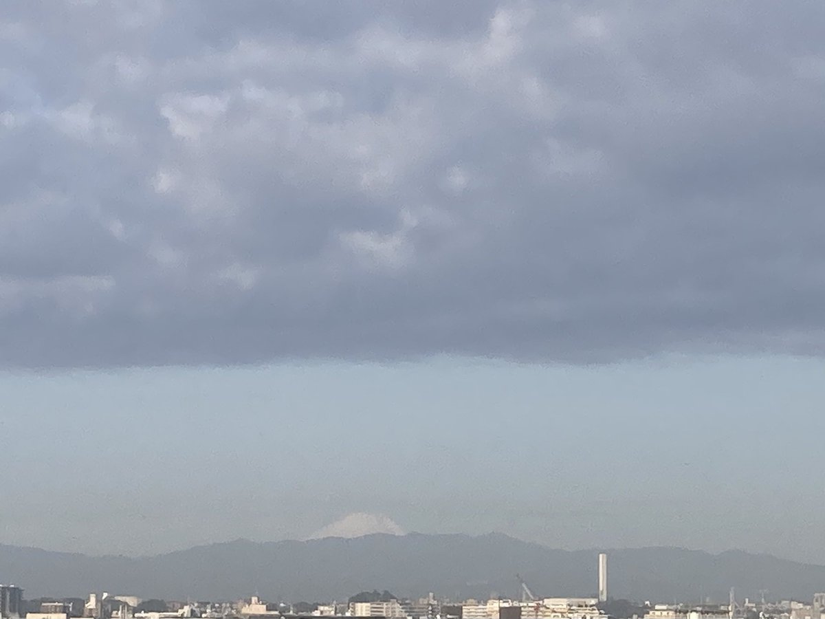 ぶんきゅう🍛またの名を卑弥太🍆 tweet media